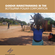 Gender Mainstreaming in the Botswana Power Corporation