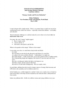 Energy, Gender and Poverty Reduction