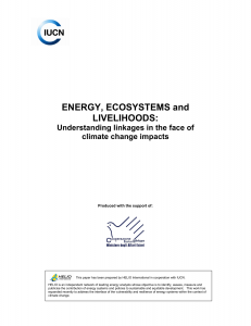 Energy, ecosystems and livelihoods: Understanding linkages in the face of climate change impact