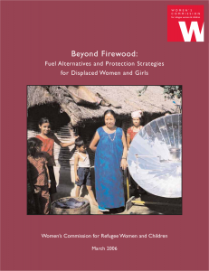 Beyond Firewood: Fuel alternatives and protection strategies for displaced women and girls