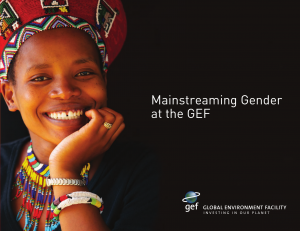 Gender Mainstreaming – A key driver of Development in Environment and Energy: Portfolio Review and Assessment