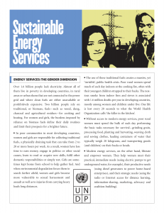 Sustainable Energy Services: The Gender Dimension