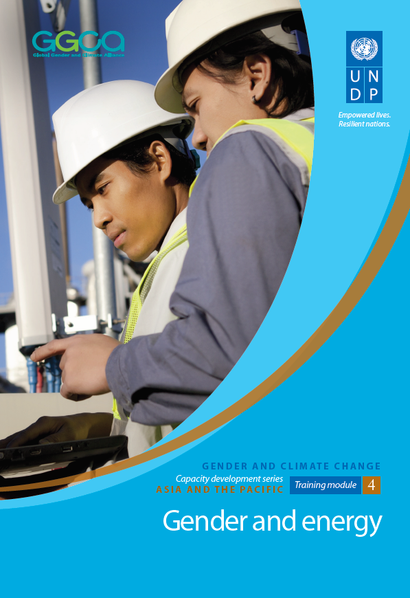 Gender and climate change capacity development series: Gender and energy