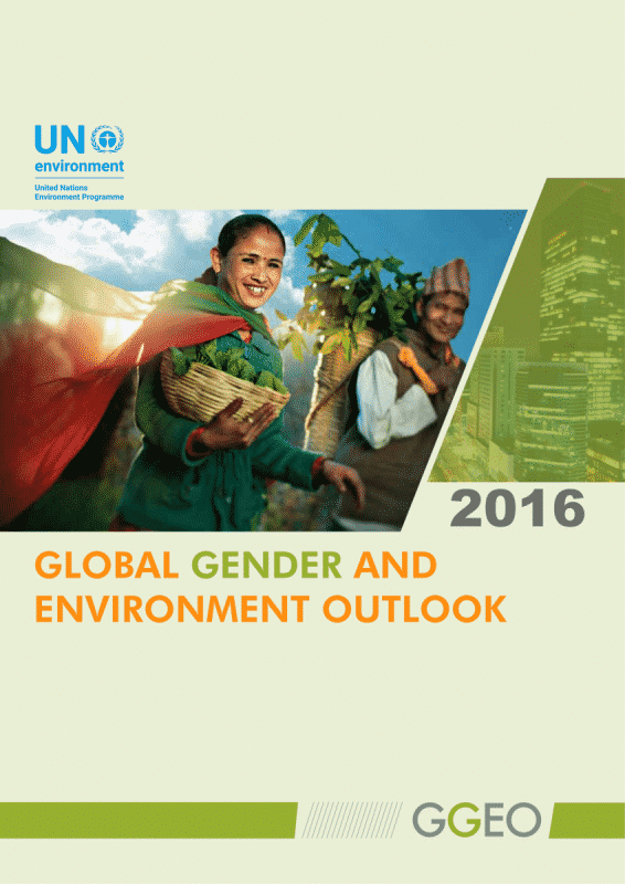 Global Gender and Environment Outlook