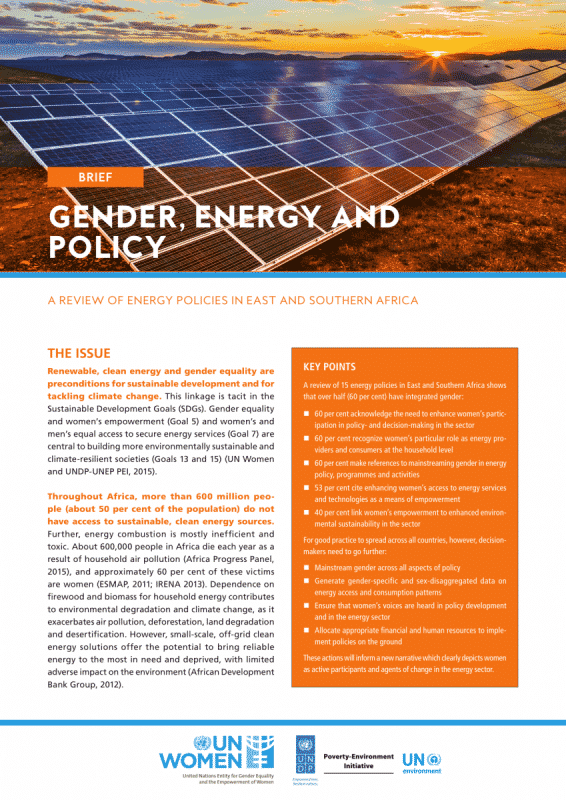 Gender, energy and policy – A review of energy policies in East and Southern Africa