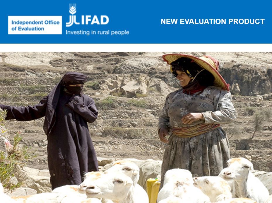 What works for gender equality and women’s empowerment – a review of practices and results – FINAL REPORT