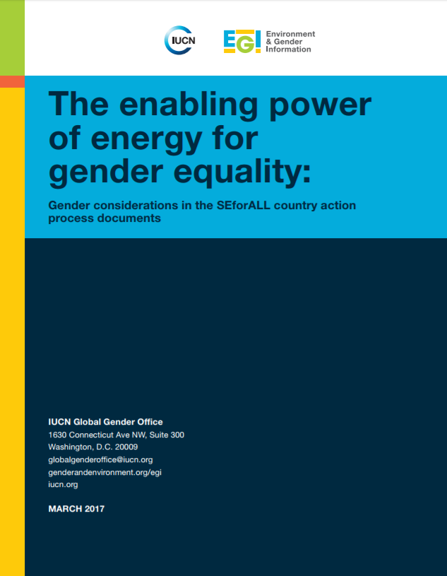 The enabling power of energy for gender equality: Gender considerations in the SEforALL country action process documents