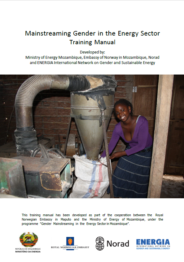 Mainstreaming gender in the energy sector. Training manual