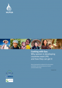Cooking with Gas: Why women in developing countries want LPG and how they can get it