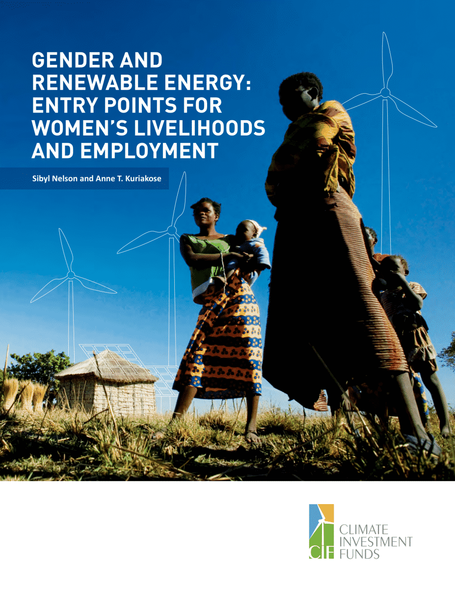 Gender And Renewable Energy Entry Points For Womens Livelihoods And