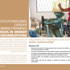 Institutionalising Gender Mainstreaming Processes in Energy Organisations