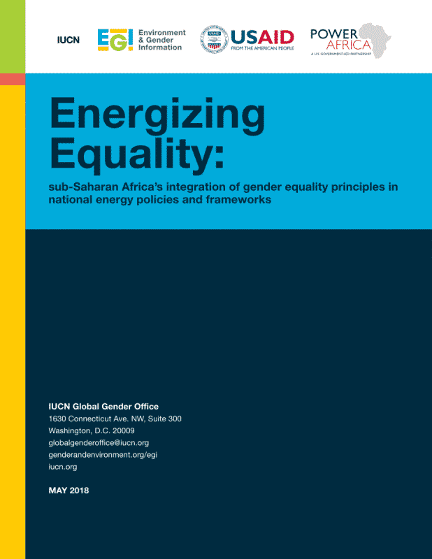 Energizing Equality: sub-Saharan Africa’s integration of gender equality principles in national energy policies and frameworks