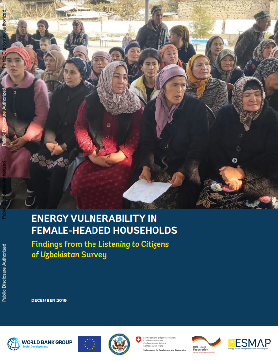 Energy vulnerability in female-headed households: Findings from the Listening to Citizens of Uzbekistan Survey