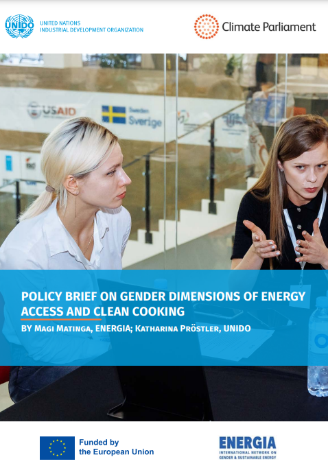 Policy brief on gender dimensions of energy access and clean cooking
