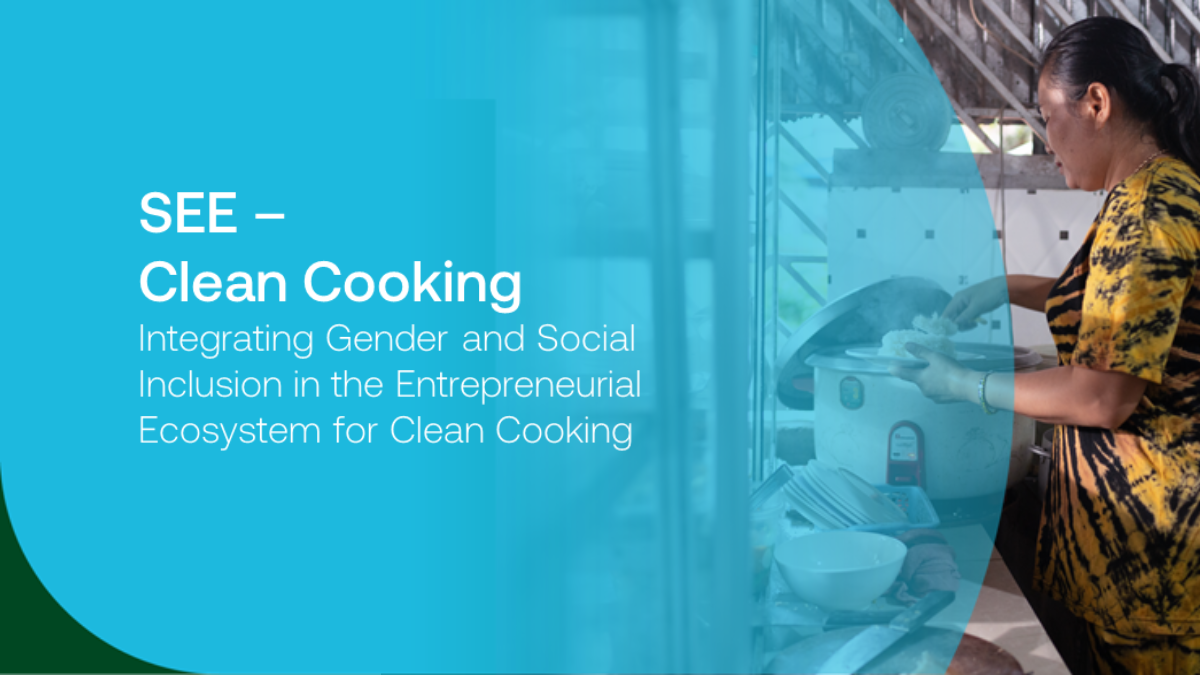 Gender Equality and Social Inclusion: Lessons and good practices from Clean Cooking Programs