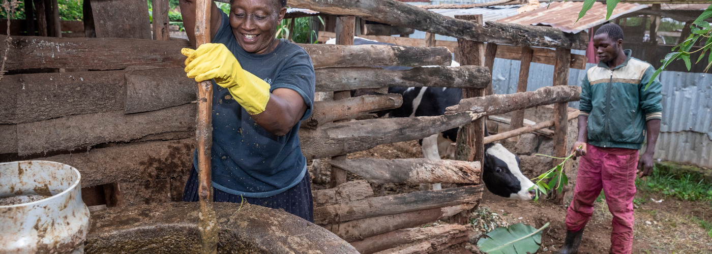 Strengthening the entrepreneurial ecosystem for clean cooking