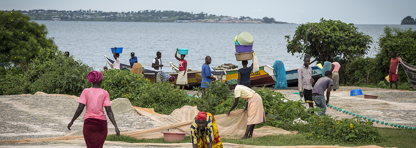 Country-specific research on gender and energy for policymakers and practitioners