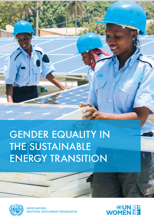 Gender Equality in the Sustainable Energy Transition