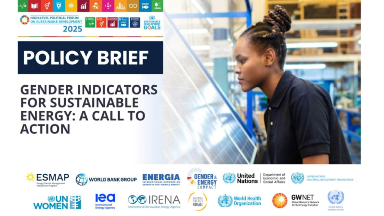 Gender Indicators for Sustainable Energy: A Call to Action