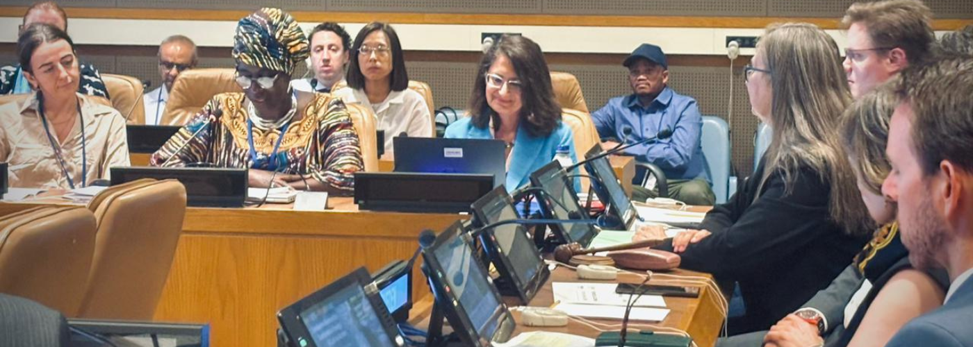 A Call for Gender Indicators in Sustainable Energy at the UN High-Level Forum